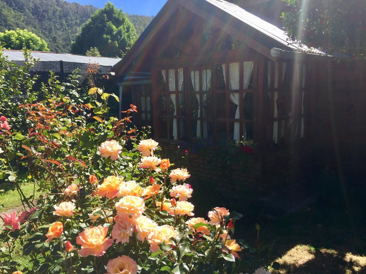 Tu Cabana San Martin de los Andes Bagian luar foto